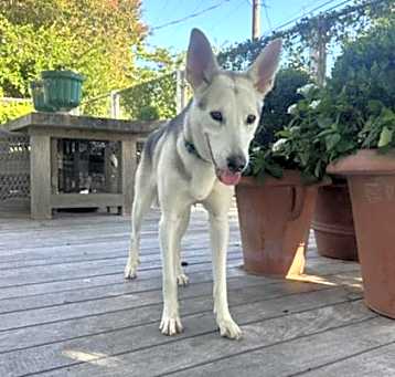 Photo of *JOJO