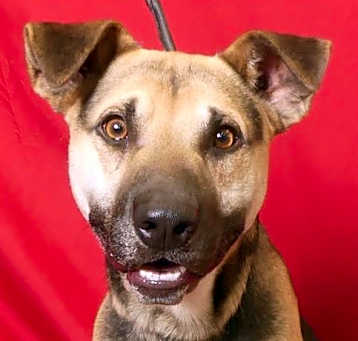 Photo of TEX