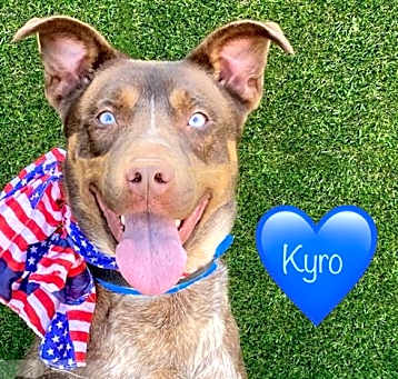Photo of KYRO