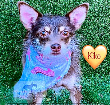 Photo of KIKO