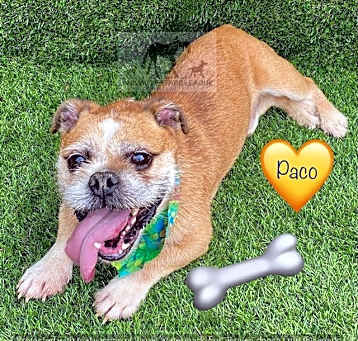 Photo of PACO
