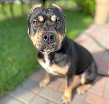 Photo of LOLA