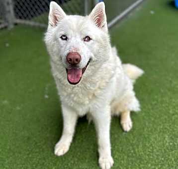 Photo of *AXEL