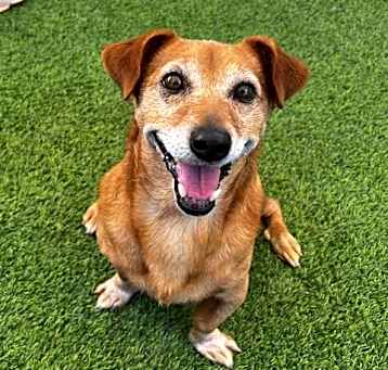 Photo of ROSCOE