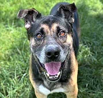 Photo of TUTTER