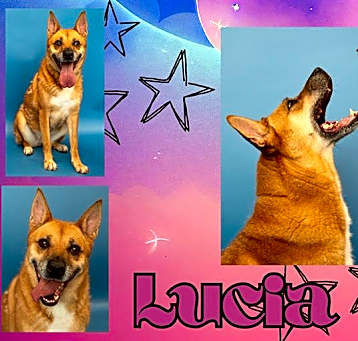 Photo of LUCIA