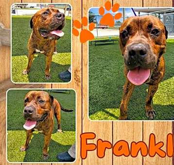 Photo of FRANKLIN