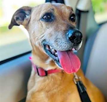 Photo of PEANUT