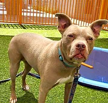 Photo of NOVA