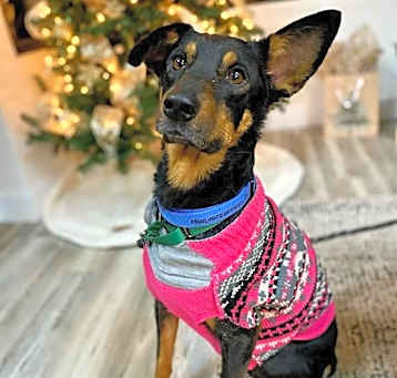 Photo of DIXIE