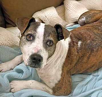 Photo of ADDIE