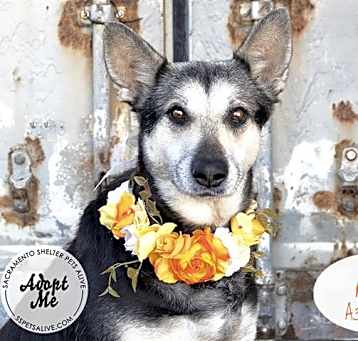 Photo of AVA