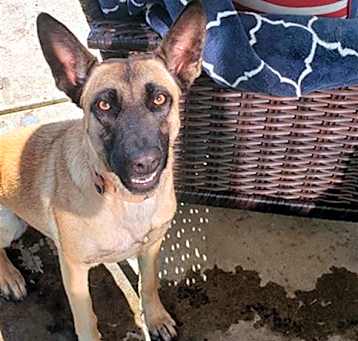 Photo of SANDY