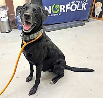 Photo of OPIE
