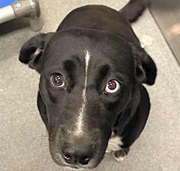 Photo of NOVA