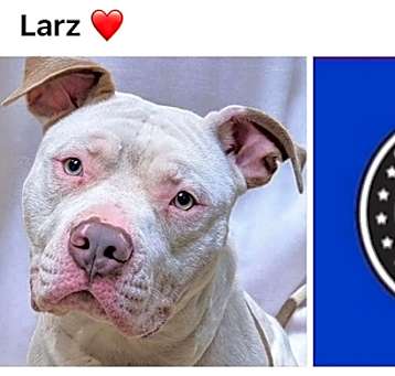 Photo of LARZ