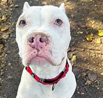 Photo of PETEY