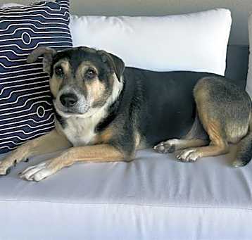 Photo of JASPER