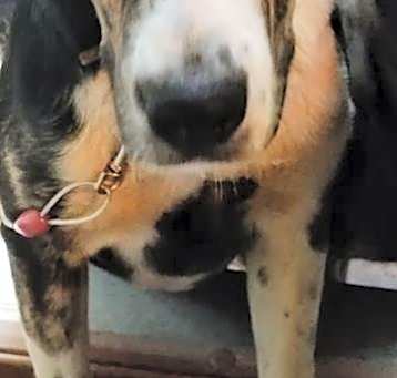 Photo of BLUE