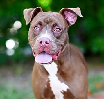 Photo of SALLY