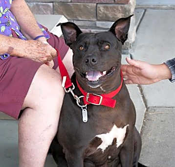 Photo of NONA