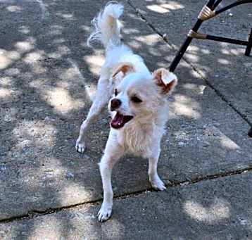Photo of QTIP
