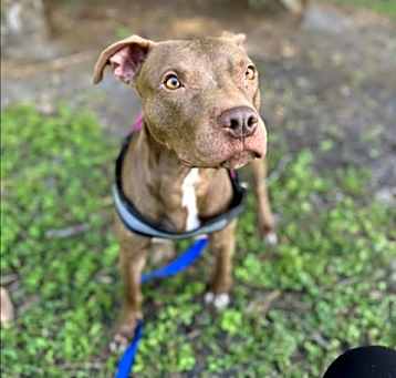 Photo of GATSBY