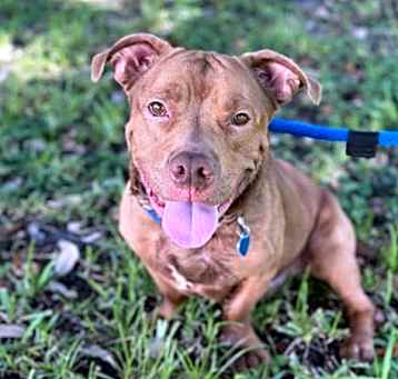 Photo of CHICO