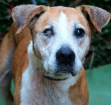 Photo of HONEY