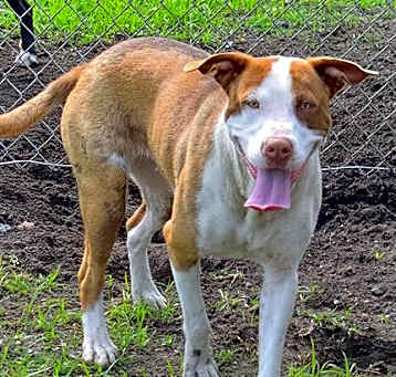 Photo of LUCY
