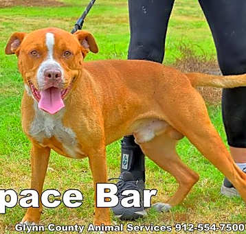 Photo of SPACE BAR