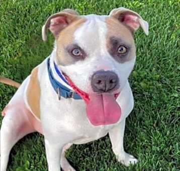 Photo of CLYDE