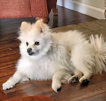 Photo of A043311