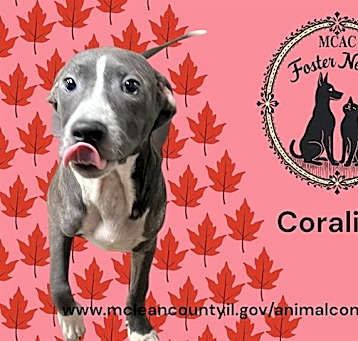 Photo of CORALINE