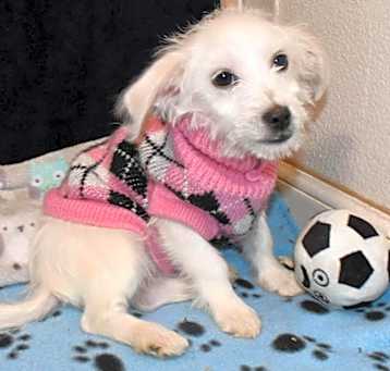 Photo of Molly