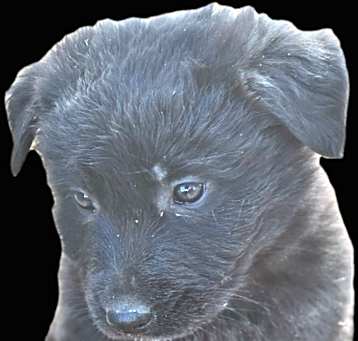 Photo of Cain