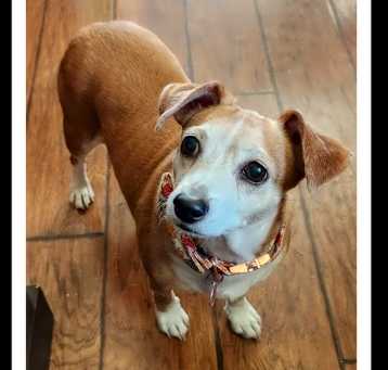 Photo of MOLLY