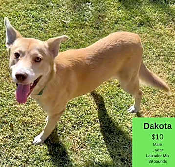 Photo of Dakota