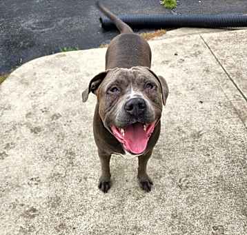 Photo of Smokey
