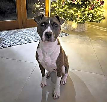 Photo of Adabelle