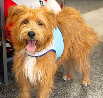 Photo of Jake