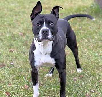 Photo of Zip