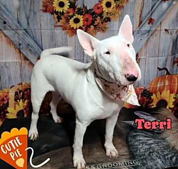 Photo of Terri