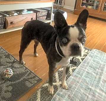 Photo of Khloe