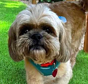 Photo of Chuck