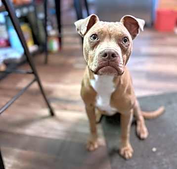 Photo of Spero