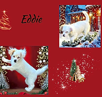 Photo of Eddie