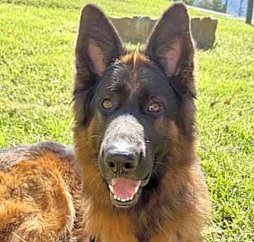 Photo of Arlo 6835
