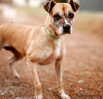 Photo of Lucy