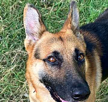Photo of Barkley 6843